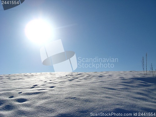 Image of Winter solar landscape
