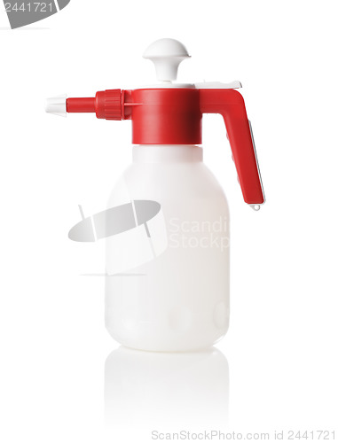 Image of Spray Bottle