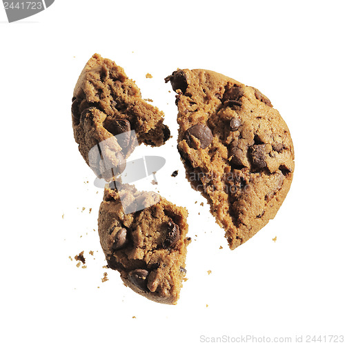 Image of Cookie