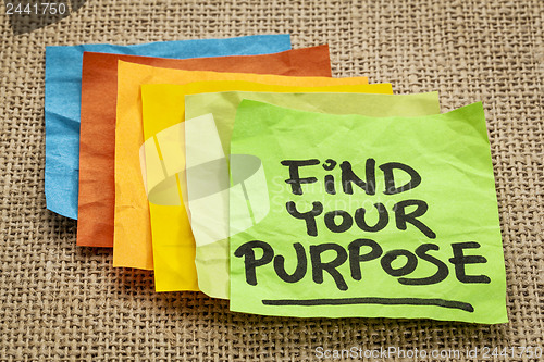 Image of find your purpose 