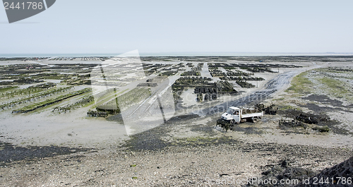 Image of oyster beds at Cancale