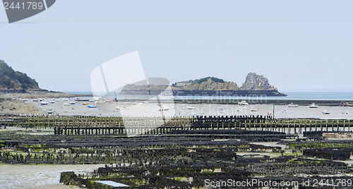 Image of oyster beds at Cancale