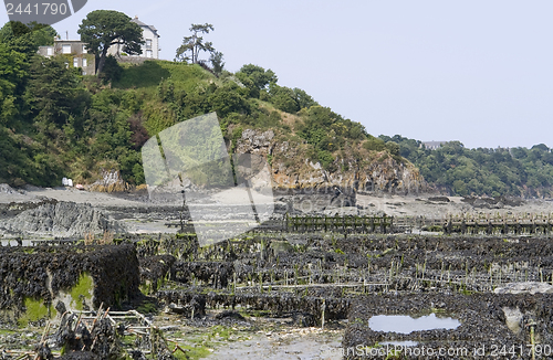 Image of oyster beds at Cancale