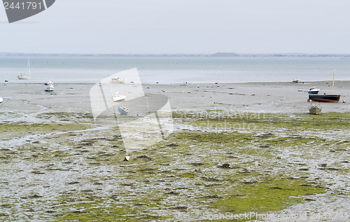 Image of around Cancale