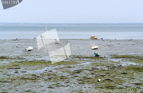 Image of around Cancale