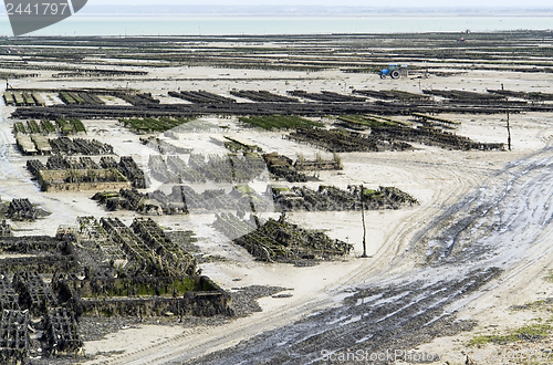 Image of oyster beds at Cancale