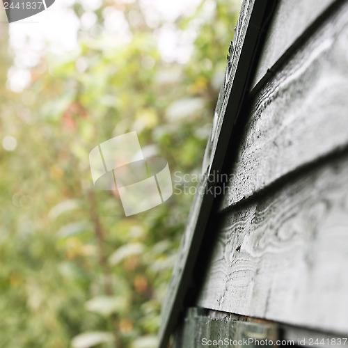 Image of Green Wood