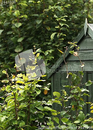 Image of Garden Shed