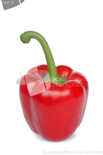 Image of Red Pepper