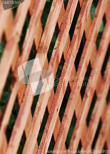 Image of Trellis