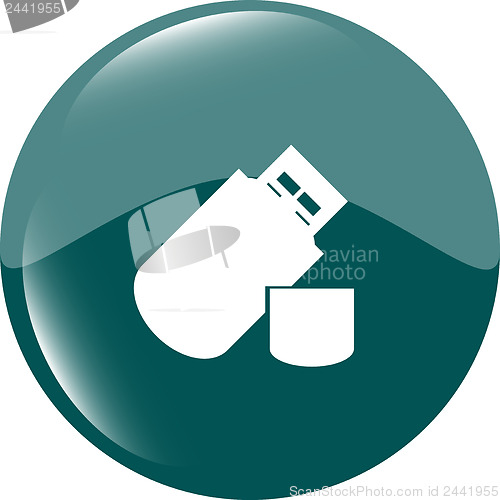 Image of usb flash drive web glossy icon on white background