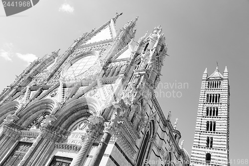 Image of Duomo di Siena