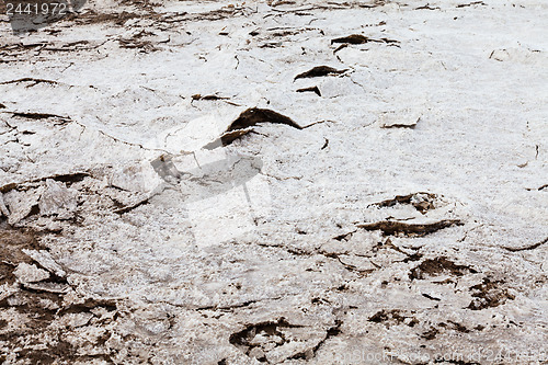 Image of Salt Desert