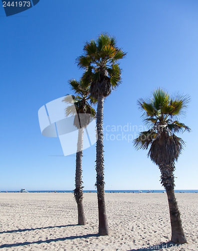 Image of Santa Monica Beach