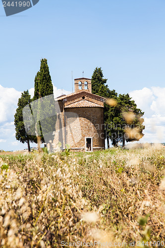 Image of Tuscan country