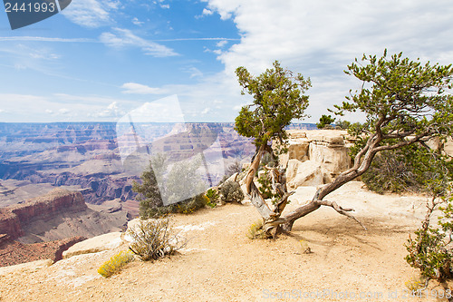 Image of Grand Canyon