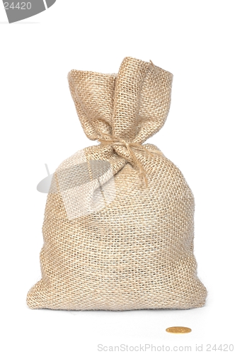 Image of Bag and Coin