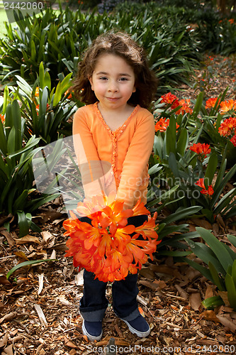 Image of Beautiful little girll with a bunch of clivia from the garden