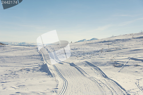 Image of Ski trails in mountains