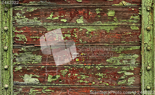 Image of Wood texture closeup photo