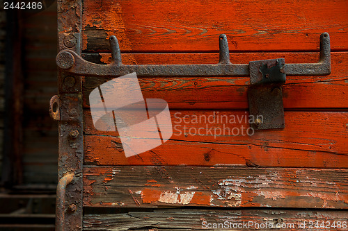 Image of Wood texture closeup photo