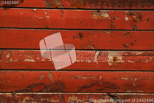 Image of Wood texture closeup photo