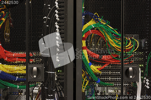 Image of Network cables of a server