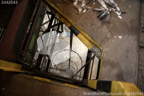 Image of Industrial ladder in a factory