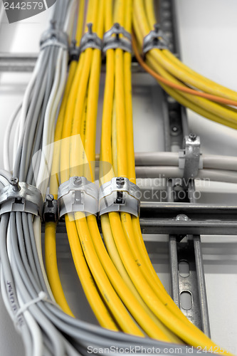 Image of Industrial cables on the wall