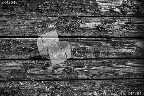Image of Wood texture closeup photo