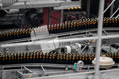 Image of Beer factory interior