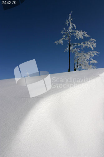 Image of blue&white