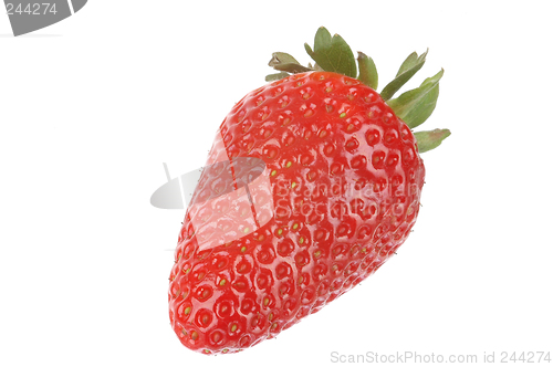 Image of Strawberry