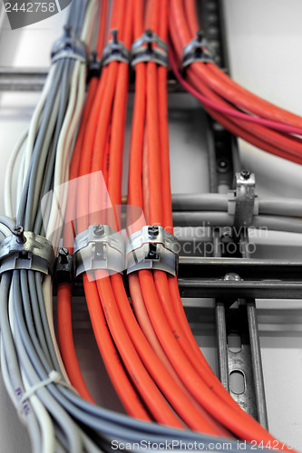 Image of Industrial cables on the wall