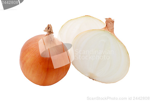 Image of Two white onions, whole and halved