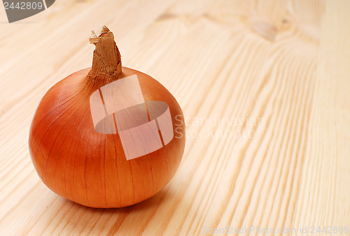 Image of Whole white onion on a wooden table