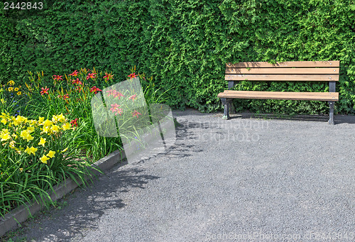Image of Wooden bench in the flowering garden
