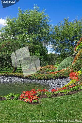 Image of Bright summer garden with pond