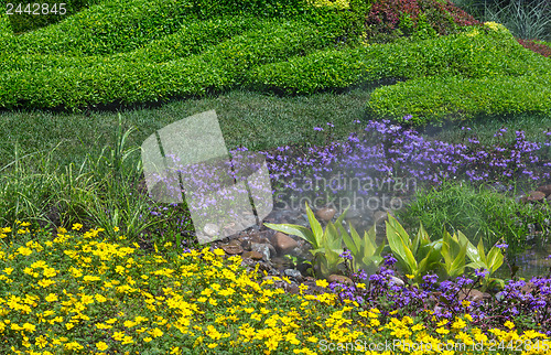 Image of Detail of Alpine garden