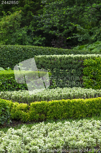 Image of Ornamental garden