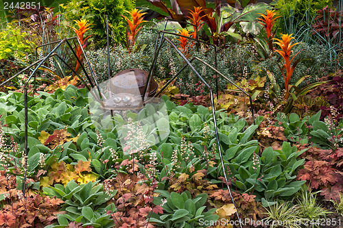 Image of Rusty metal spider decorating a garden