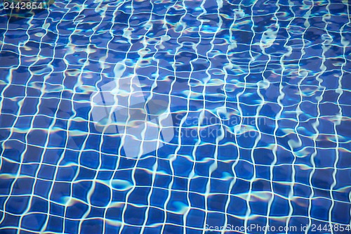 Image of Swimming pool