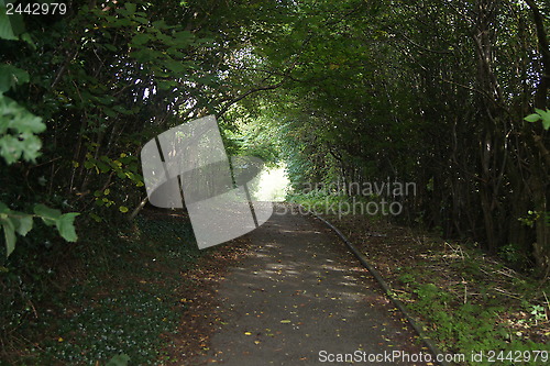 Image of Newcastle under Lyme, UK