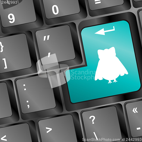 Image of white owl silhouette on computer pc keyboard