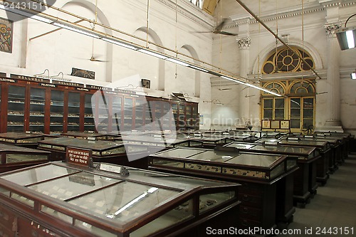 Image of The Indian Museum of Kolkata