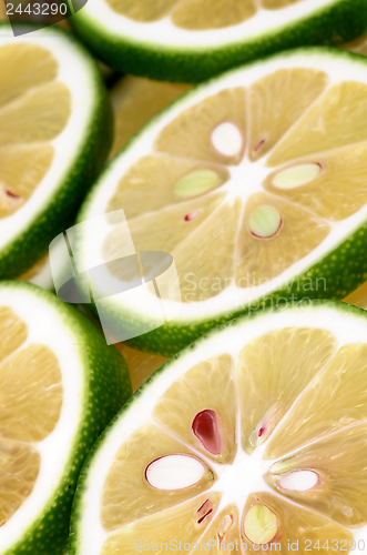 Image of Citrus Background