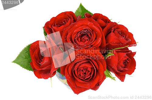Image of Red Roses