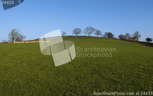 Image of Field
