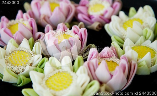 Image of Lotus flowers spa