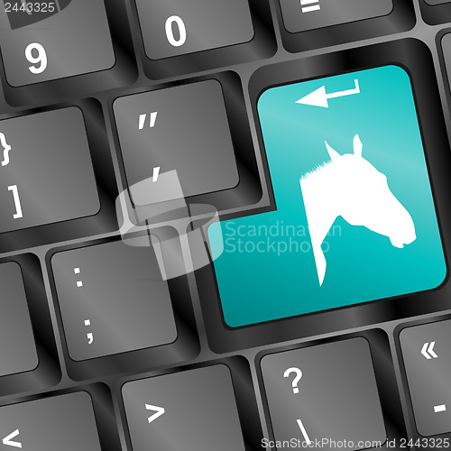 Image of horse head button from the keyboard